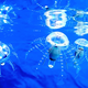 Illustration for article titled AquaJelly and AirJelly Robot Jellyfish At Home In the Water or the Sky